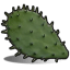 Cactus flesh