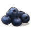 Blueberry