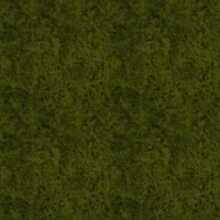 Floor | Moss